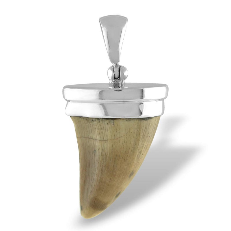Starborn Fossil Mosasaurus Tooth Pendant in Sterling Silver - Image 4